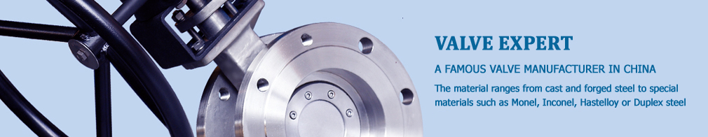 Butterfly Valve