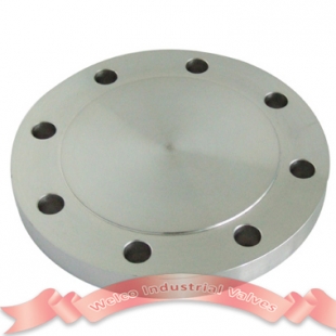 Blind Flange 