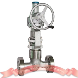 2500# duplex steel Globe Valve