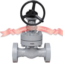 2500Lb gate valve