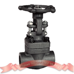 800# forged steel gate valve