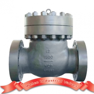 High pressure check valve