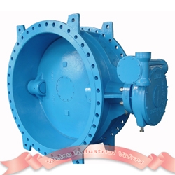 Soft seal cast iron butterfly valve