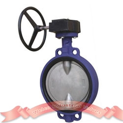 Wafer concentric butterfly valve