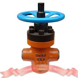 Z63Y BW high pressure gate valve