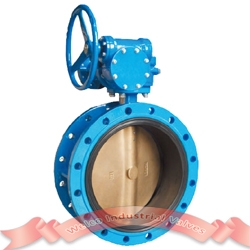 Concentric butterfly valve with bronze disc