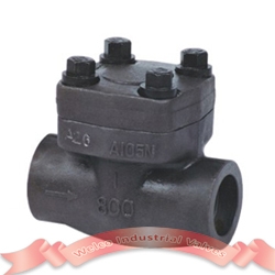 Forged steel check valve