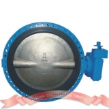 D341X-10 butterfly valve