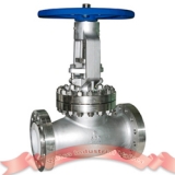 API stainless steel globe valve