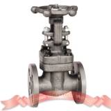 150# forged steel gate valve