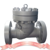 900Lb full bore swing check valve