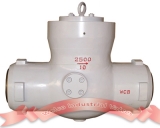 Check valve with pressure seal cover design