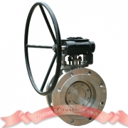 High Performance Hard Seal Butterfly Valve