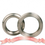 Ring Joint Gasket