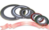 Spiral wound gasket for valve