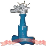 BW high pressure electric gate valve