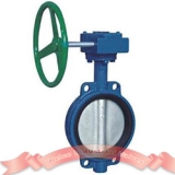 Cast iron wafer butterfly valve