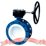 Flange PTFE lined butterfly valve