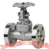 F316 forged steel gate valve